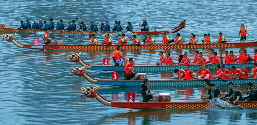 corrida de barco dragão